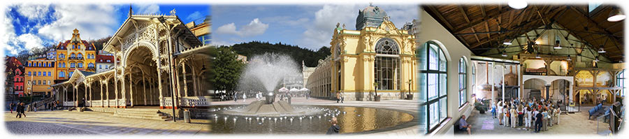 Combined Private Tours Prague Airport Transfers